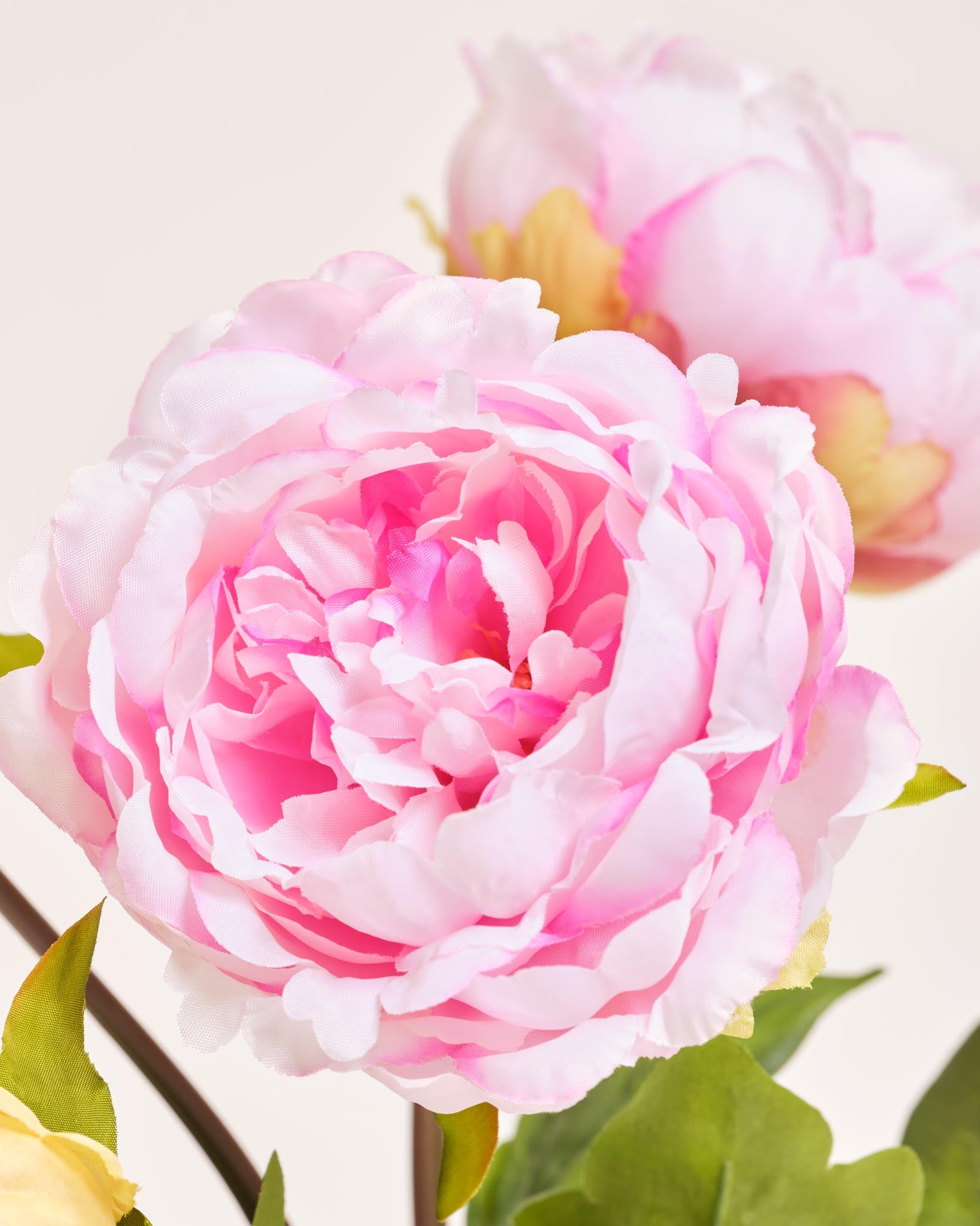 Silk Bouquet | Good PB.01