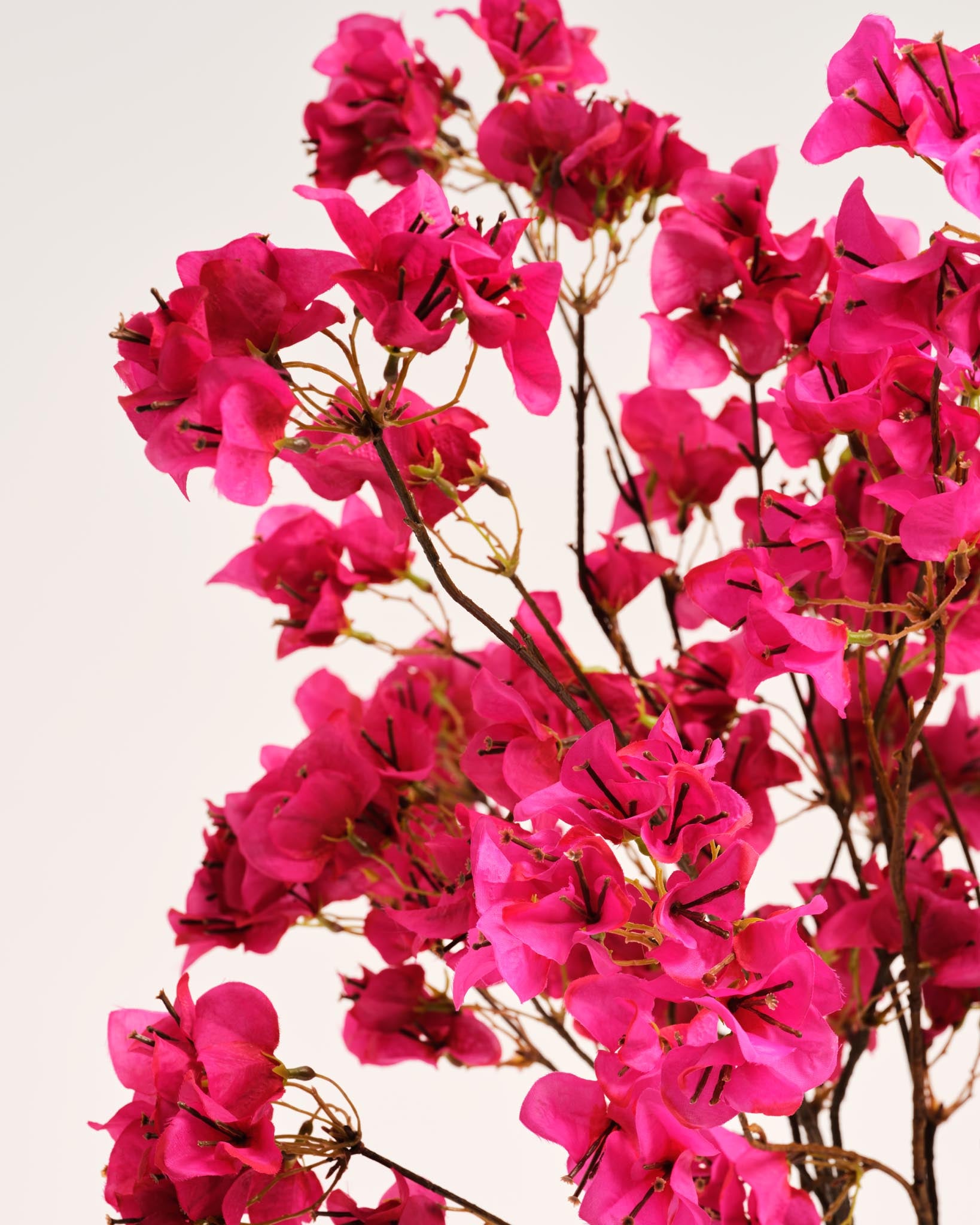 Silk Bouquet | Good MC.20