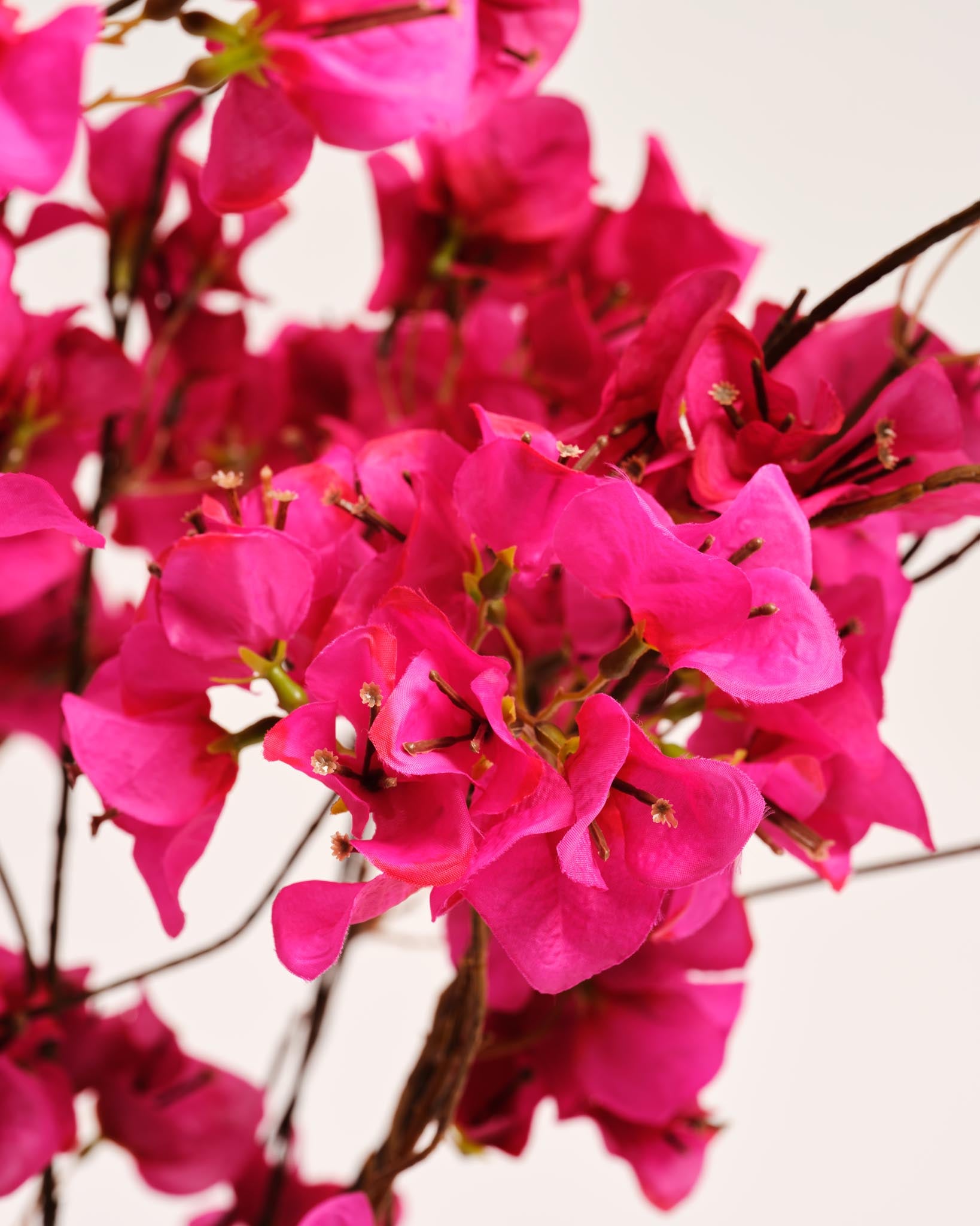 Silk Bouquet | Good MC.20