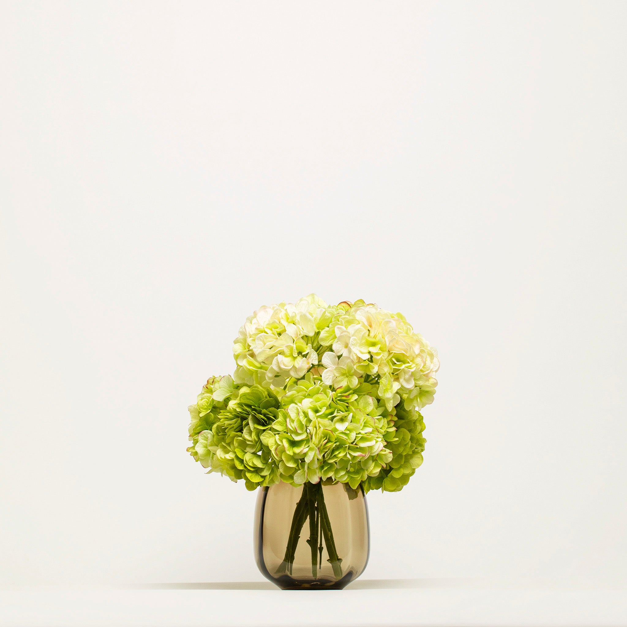 Zijden Hortensia Boeket | Good MC.21