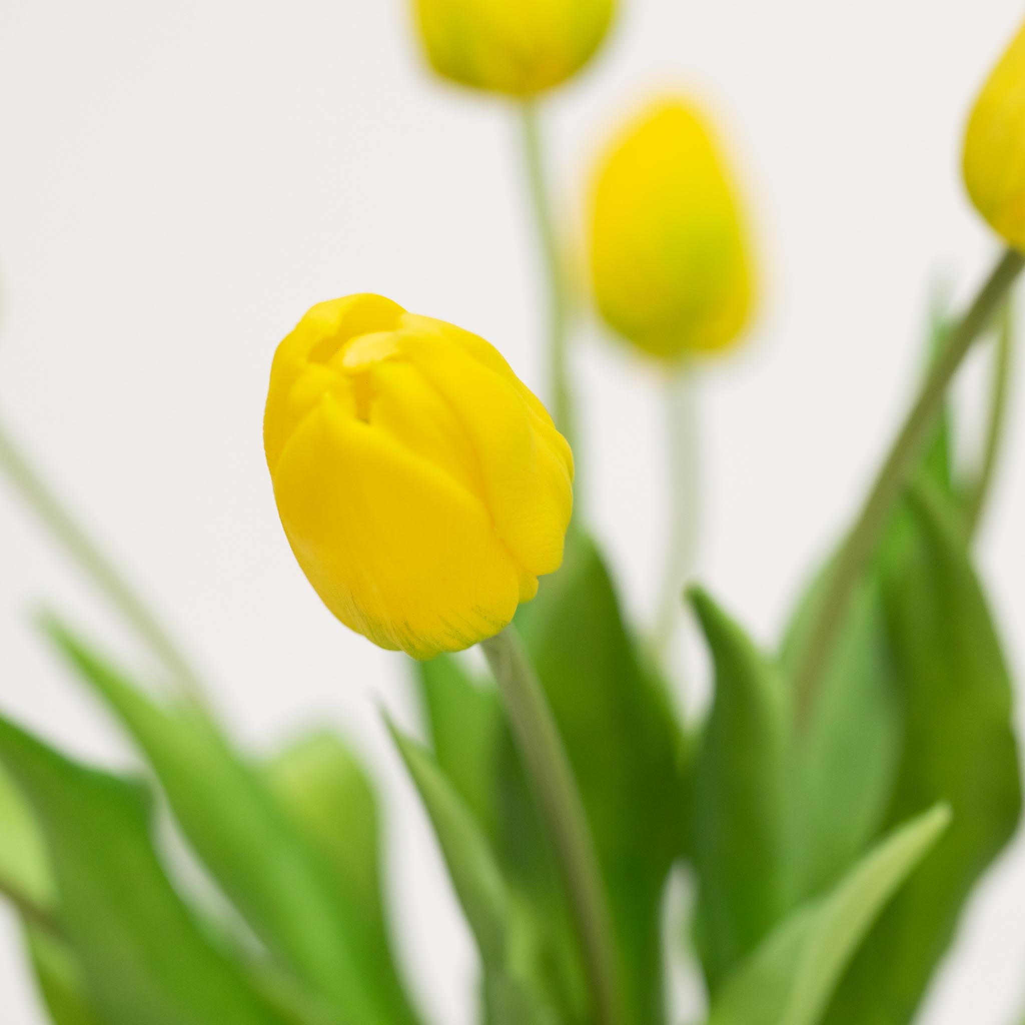 Silk Tulip Bouquet | Good MC.23