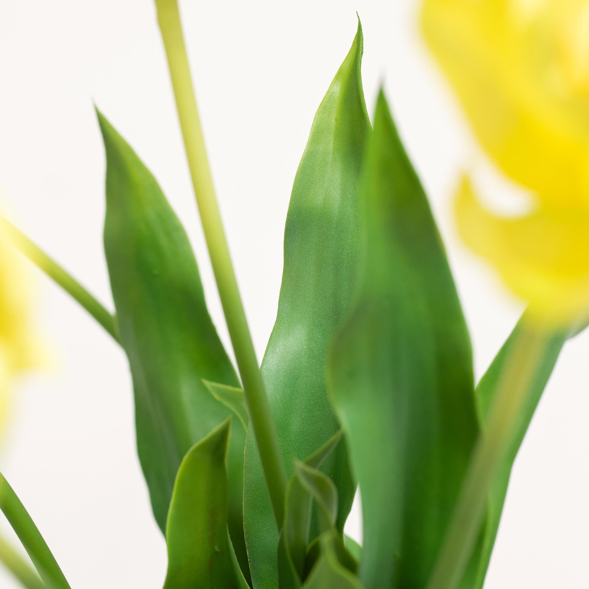 Zijden Tulpen Boeket | Good MC.26