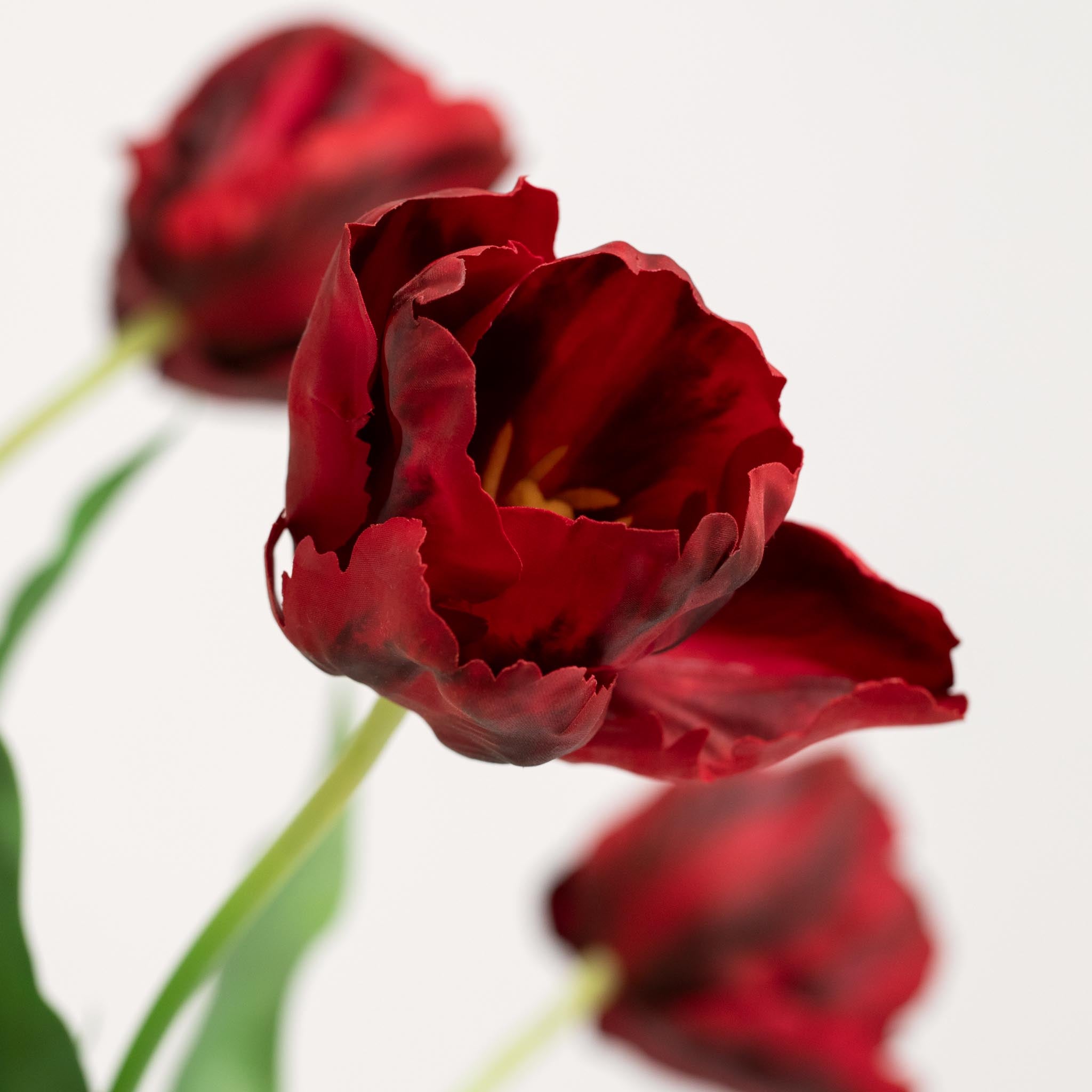 Bouquet De Tulipes En Soie | Good MC.27