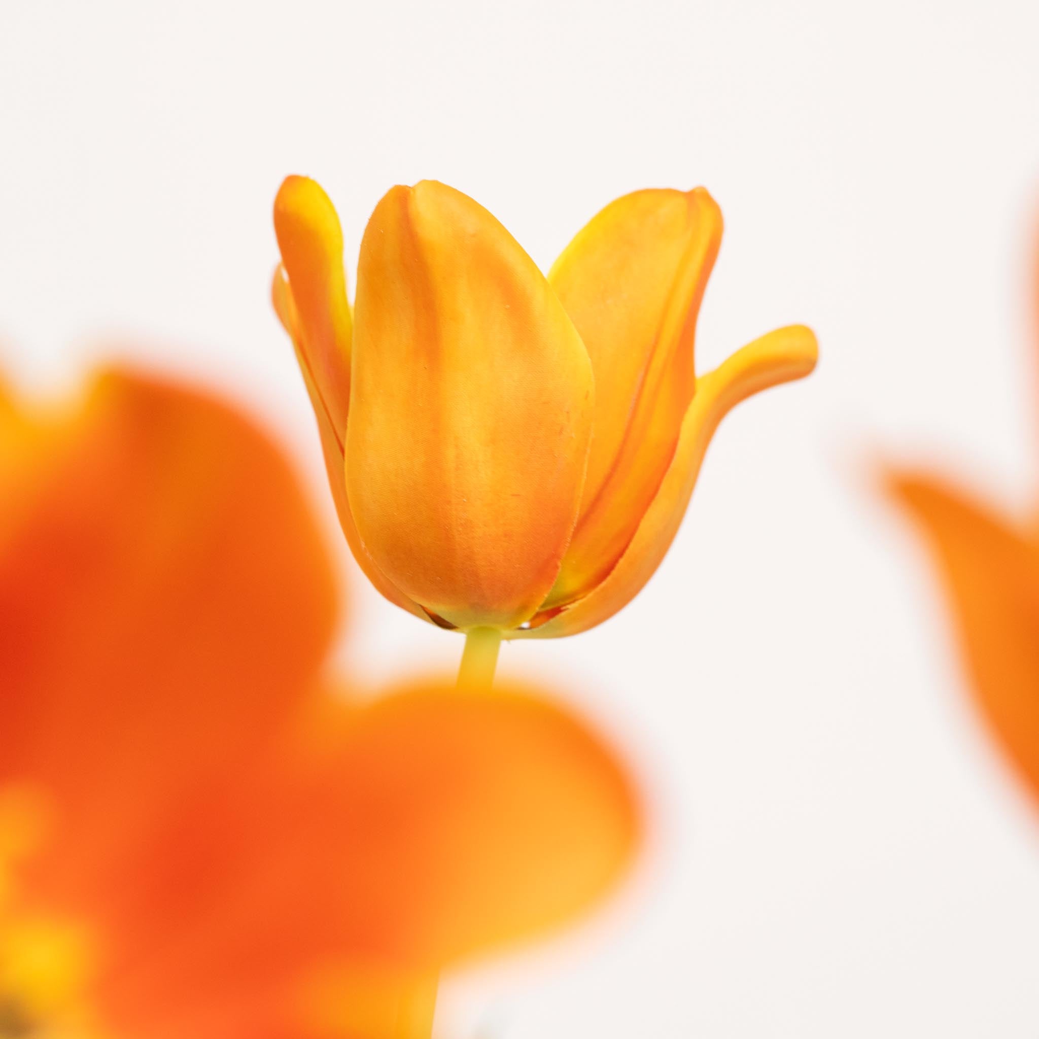 Bouquet De Tulipes En Soie | Good MC.28