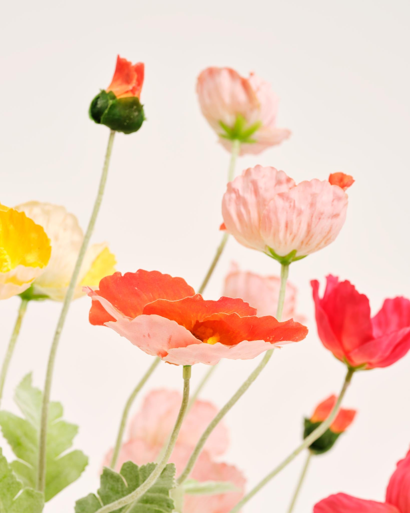 Silk Bouquet | Good MC.07