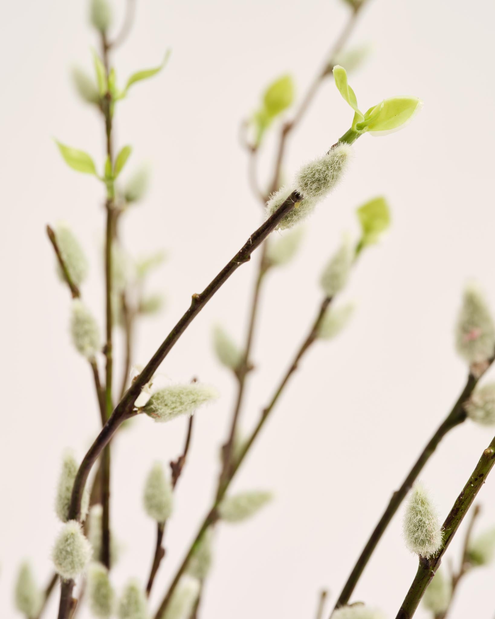 Bouquet De Fleurs Artificielles | Good MC.14