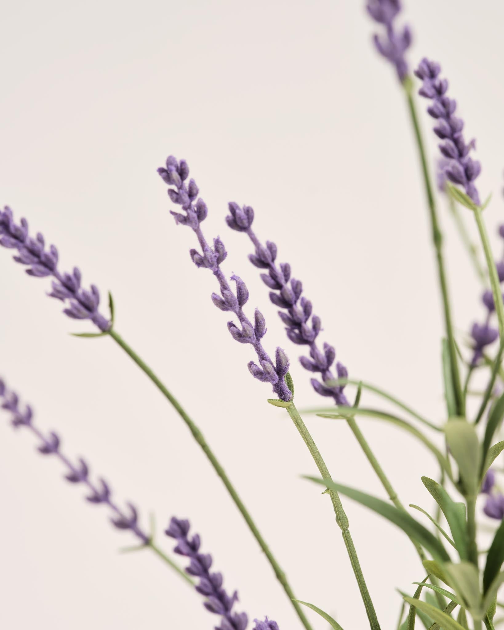 Silk Bouquet | Good MC.17