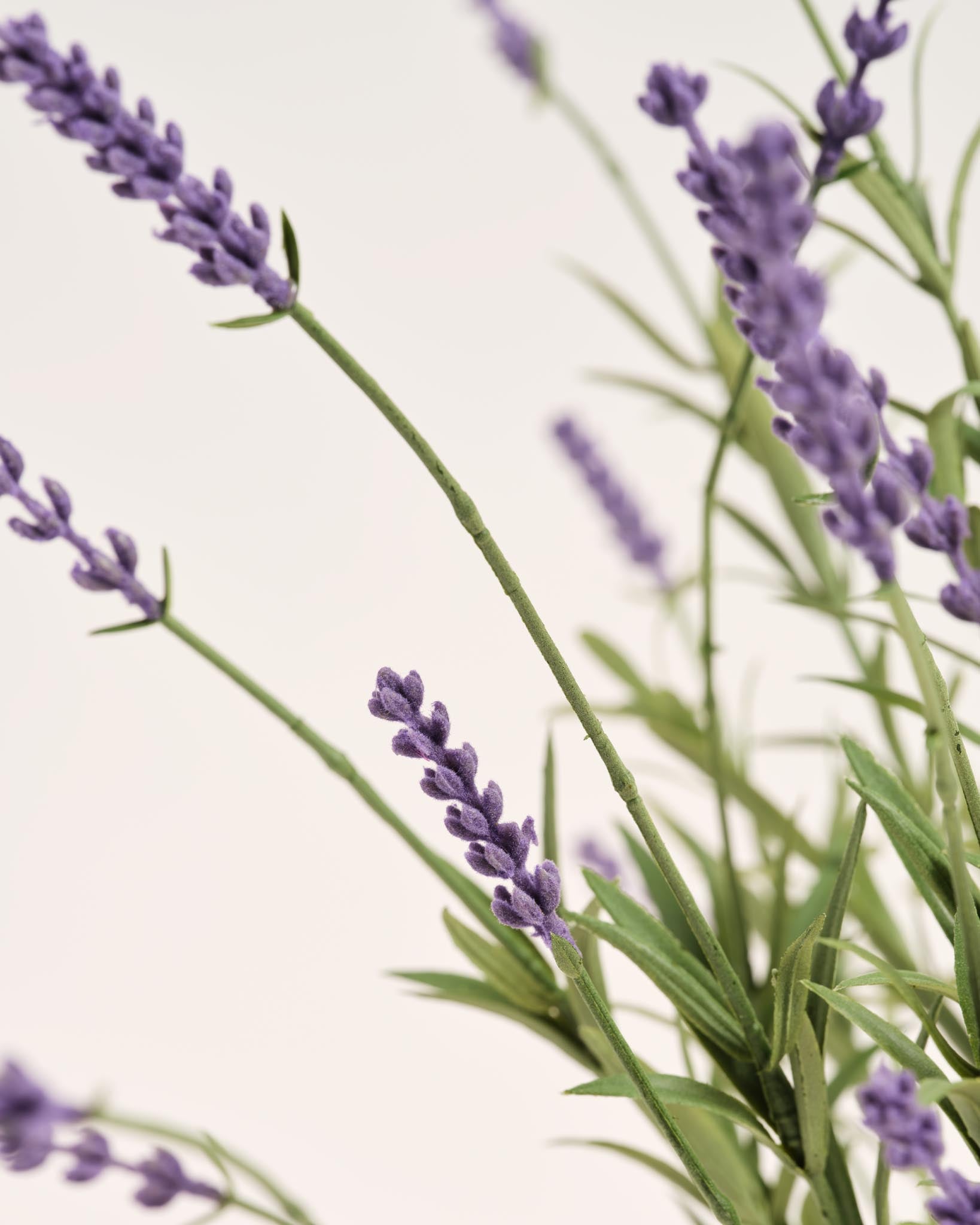 Silk Bouquet | Good MC.17