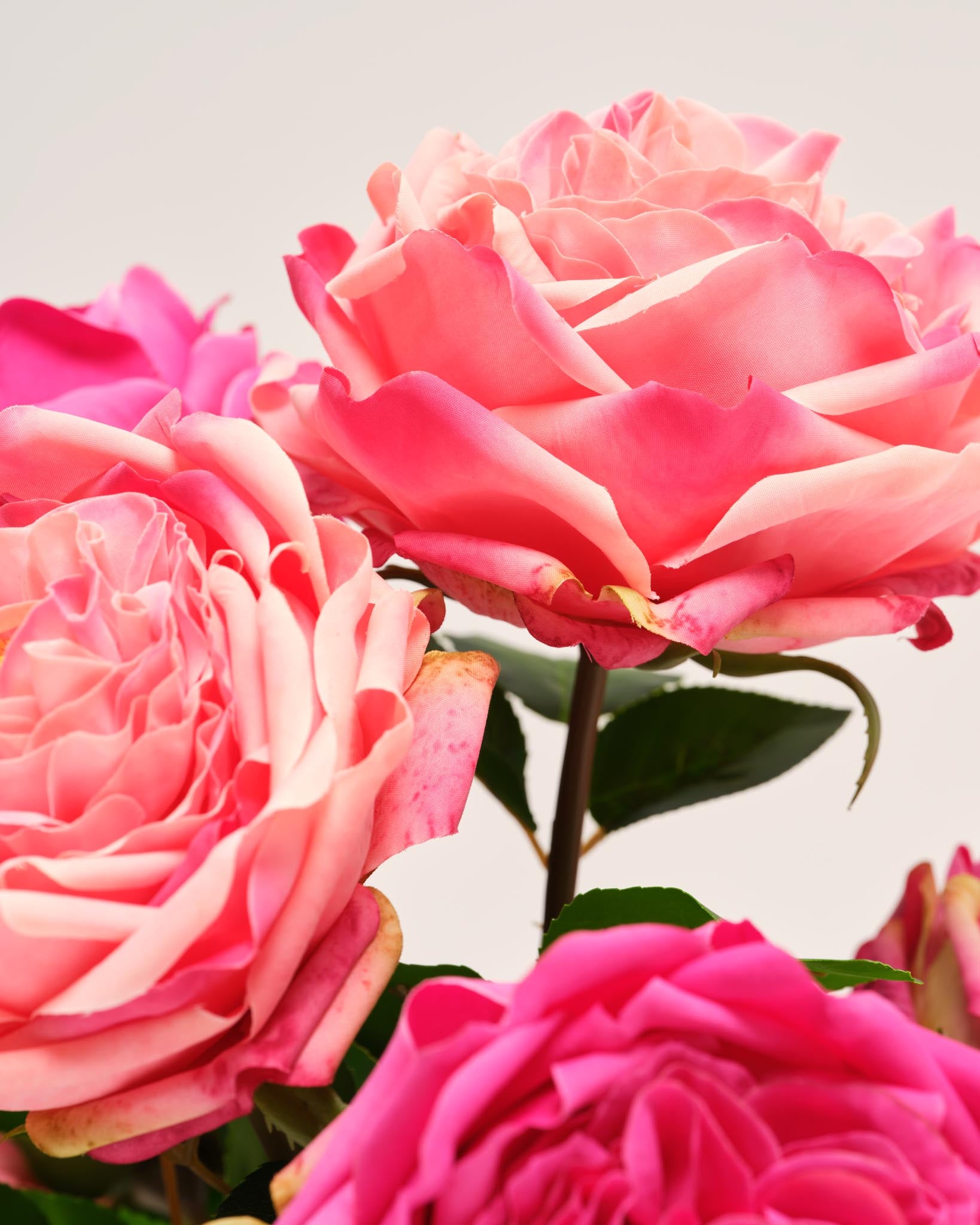 Silk Bouquet | Good MC.22