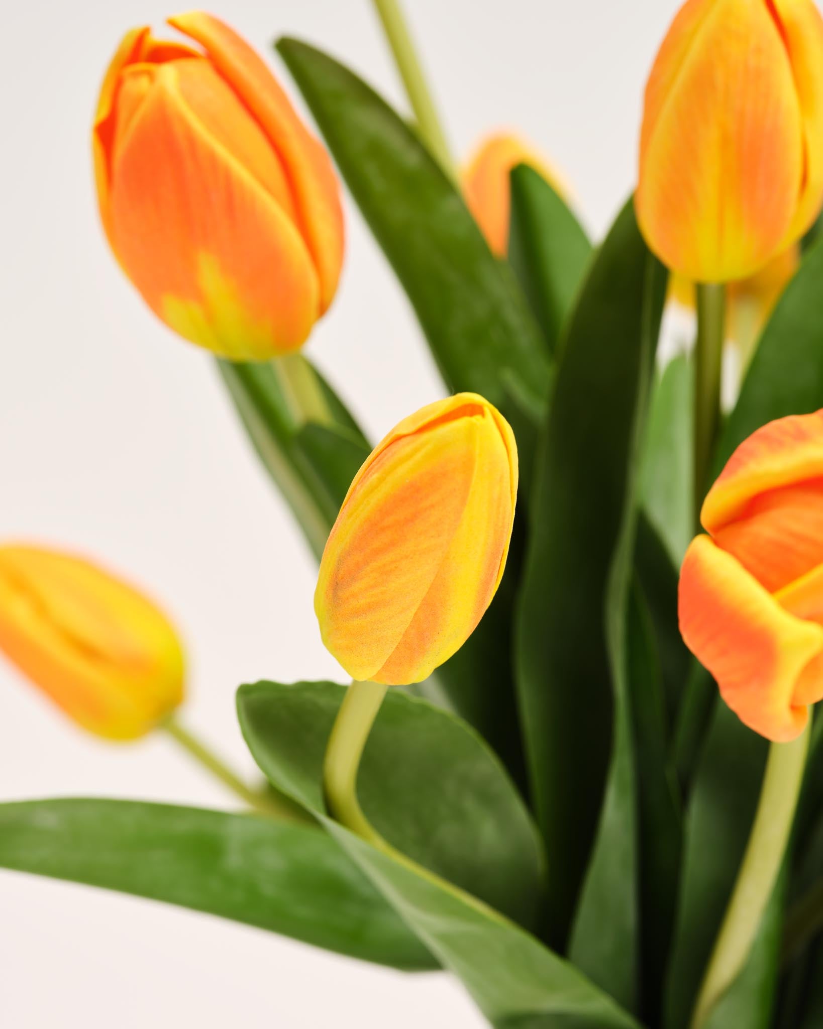 Zijden Boeket | Good TT.24